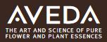Aveda Corp