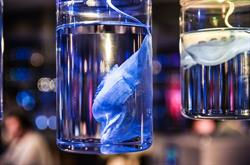 BMC Labs