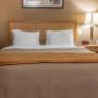 Guest room with one bed Guest room with one bed