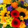 Photo Photo