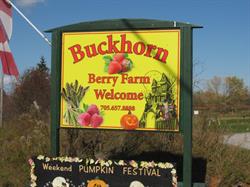 Buckhorn Berry Farm