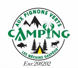 Camping aux pignons verts