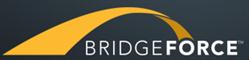 BridgeForce Financial