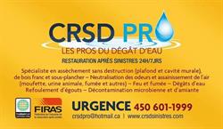 CRSD Pro - Construction