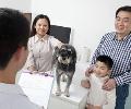Physical Exam & Wellness
