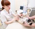 Ultrasound & X-ray