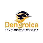Dendroica Environnement et Faune