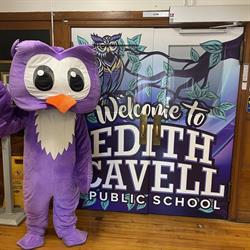 Edith Cavell Public School