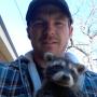 Scarborough raccoon. This area keeps me busy! Scarborough raccoon. This area keeps me busy!