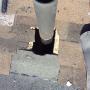 Wildlife control, raccoon damage and repair Wildlife control, raccoon damage and repair