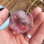 baby squirrel removal baby squirrel removal