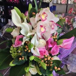 Evolution Flowers & Gifts Ltd