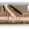 Drainage-Contractors-GTA