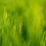 Spring is here! Avoid the rush, book now! Franklyn Property is here to serve you today! Spring is here! Avoid the rush, book now! Franklyn Property is here to serve you today!