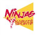Logo-Ninjas