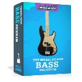 Online-Bass-Lessons