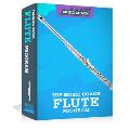 Online Flute Lessons