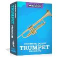 Online Trumpet Lessons