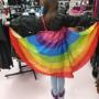 Rainbow Pride Wings Rainbow Pride Wings