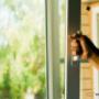 Chargé par visiteur le 2017-09-12 Chargé par visiteur le 2017-09-12