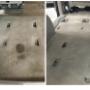 Before and After Interior Mini-Van. http://www.detailz.ca. Call us at Before and After Interior Mini-Van. http://www.detailz.ca. Call us at