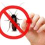 Pest Control Markham Exterminator Pest Control Markham Exterminator