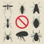 Pest Control Markham Exterminator Pest Control Markham Exterminator