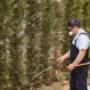 Pest Control Markham Exterminator Pest Control Markham Exterminator