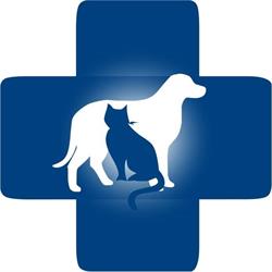 Edmonton Spay and Neuter Clinic
