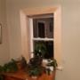 Four new windows with interior pine trim. Four new windows with interior pine trim.
