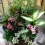 Photo Photo