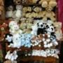 Photo Photo