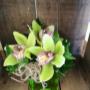 Photo Photo