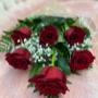 Photo Photo