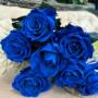 Photo Photo
