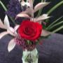 Photo Photo