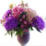 Photo Photo