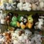 Photo Photo