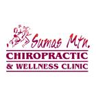 Sumas Mountain Chiropractic & Wellness Clinic