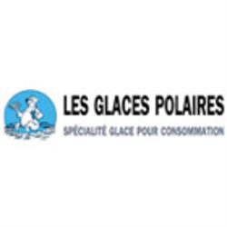 Les Glaces Polaires