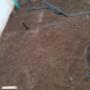 Photo Photo