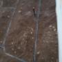 Photo Photo