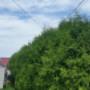 Photo Photo