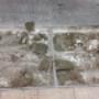 Photo Photo