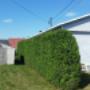 Photo Photo