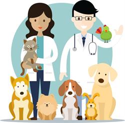 Huff Animal Hospital Ltd