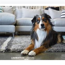 Liquidation Furniture & More