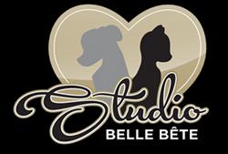 Studio Belle Bête