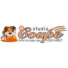 Studio La Coupe - Tonte et toilettage