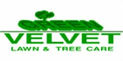 Green Velvet Lawns Ltd